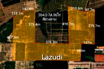 Land for sale ปลวกแดง : 204 Rai 2 Ngan 74.36 SQ.M. Land in Bowin