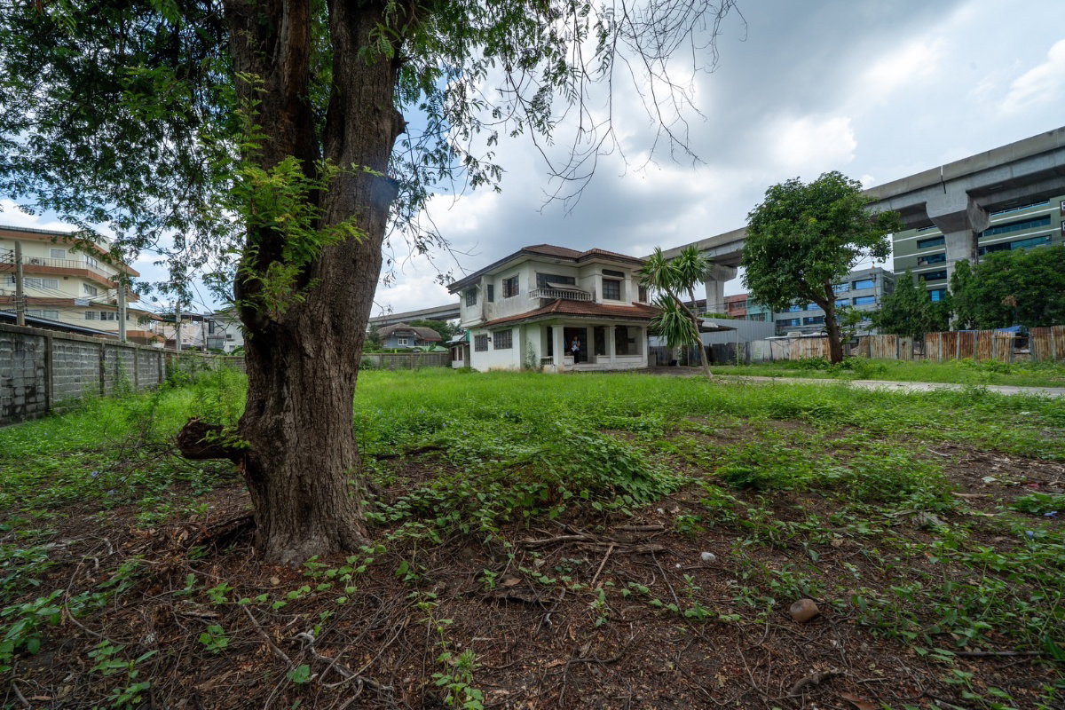 รูป ✨✨✨ทำเลทอง🚩ที่ดินแปลงใหญ่ บางซ่อน สี่เหลี่ยมสวย เกือบ 1 ไร่ 🚇 500 เมตรMRT สถานีบางซ่อน - รูปที่ 1/21