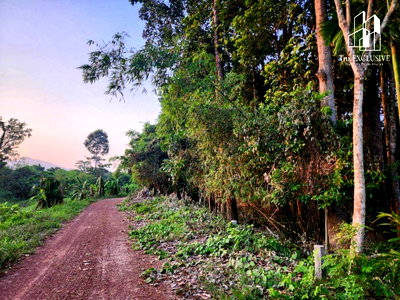 Land for sale : Beautiful Land for Sale – 6 Rai in Khao Phra, Nakhon Nayok  clean air in a peaceful natural setting. Price negotiable.