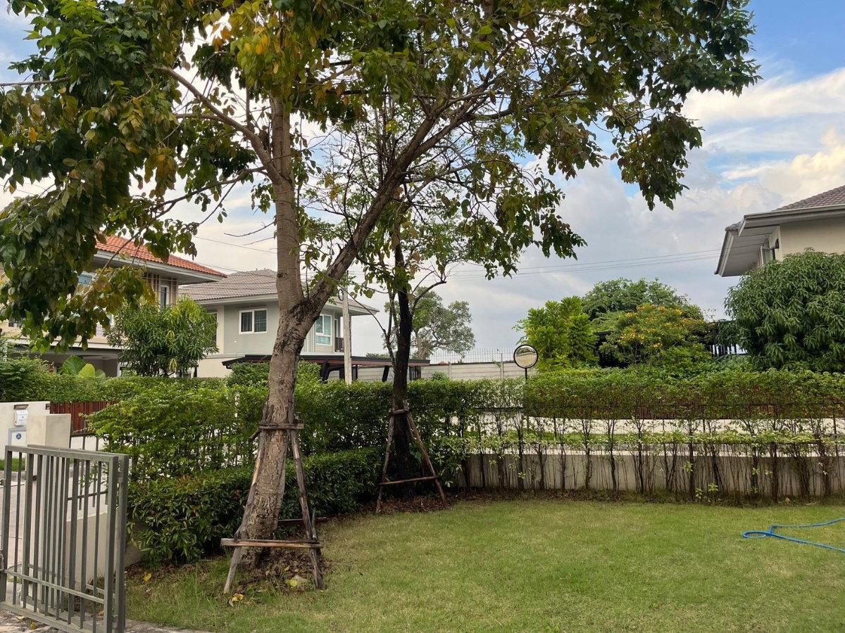 picture Single house for rent, Kanasiri Village, Bang Bua Thong - 3/15