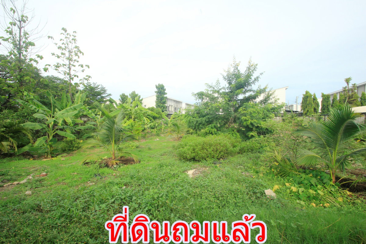 รูป ที่ดินพุทธบูชา40 สวนธนบุรีรมย์ เทคโนโลยีพระจอมเกล้าธนบุรี ที่ดินถมแล้ว ที่สร้างบ้าน สำนักงาน ทำเลดี เดินทางสะดวก 315.8 ตารางวา ราคาพิเศษ - รูปที่ 23/31