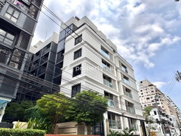 รูป Maestro 02 Ruamrudee - รูปที่ 4/13