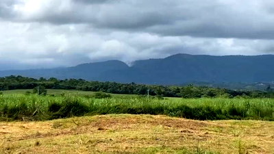 ขายที่ดิน : ขายที่ดินเขาใหญ่ โป่งตาลอง 20 ไร่ ที่สูงเทควิวเขาใหญ่สวยมาก วิวเขาล้อมรอบ ถนนลาดยาง โซนบ้านสระน้ำใส ทอสคานา ปากช่อง 087-9074045