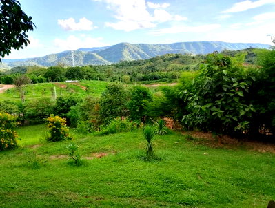 ขายที่ดิน : ขายที่บนเนินสูง 3ไร่ เทควิวอุทยานเขาใหญ่สวยมาก โป่งตาลอง ใกล้ทอสคาน่า ใกล้ 3052 เพียง 300ม. ใกล้ร้านค้า เซเว่น ตลาดสด แปลงนี้ Rare มาก 0879074045