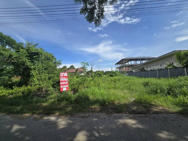 รูป ขายที่ดินเปล่า 208.4 ตร.ว คลองสาม (ใกล้วัดธรรมกาย) กว้าง 26 ม. ลึก 30 ม. เหมาะสร้างบ้าน - รูปที่ 4/8