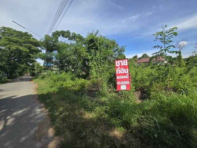 รูป ขายที่ดินเปล่า 208.4 ตร.ว คลองสาม (ใกล้วัดธรรมกาย) กว้าง 26 ม. ลึก 30 ม. เหมาะสร้างบ้าน - รูปที่ 2/8