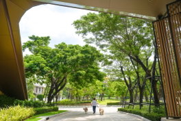 รูป SARANSIRI Srivaree - รูปที่ 5/13