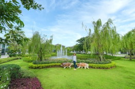 รูป SARANSIRI Srivaree - รูปที่ 4/13