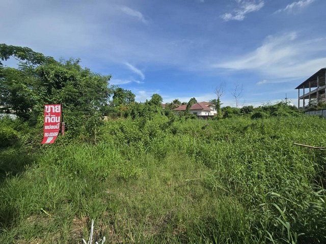รูป ขายที่ดินเปล่า 208.4 ตร.ว คลองสาม (ใกล้วัดธรรมกาย) กว้าง 26 ม. ลึก 30 ม. เหมาะสร้างบ้าน - รูปที่ 6/8
