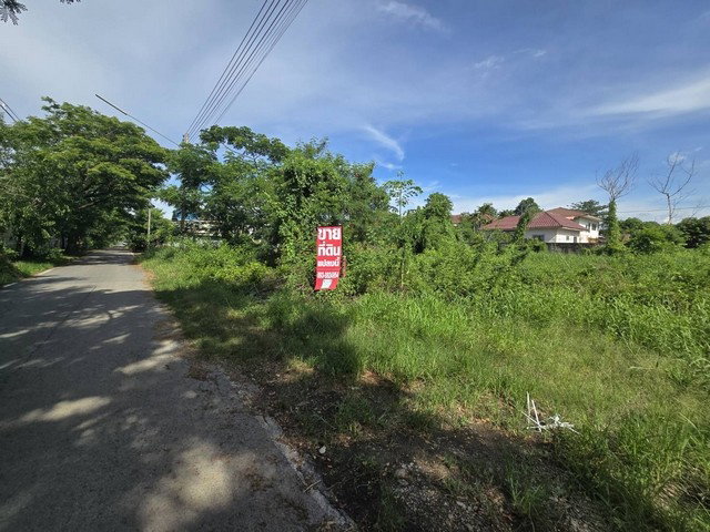 รูป ขายที่ดินเปล่า 208.4 ตร.ว คลองสาม (ใกล้วัดธรรมกาย) กว้าง 26 ม. ลึก 30 ม. เหมาะสร้างบ้าน - รูปที่ 3/8
