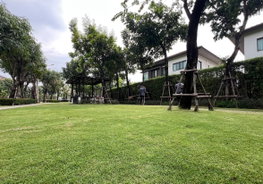 รูป Setthasiri Watcharapol - รูปที่ 5/10