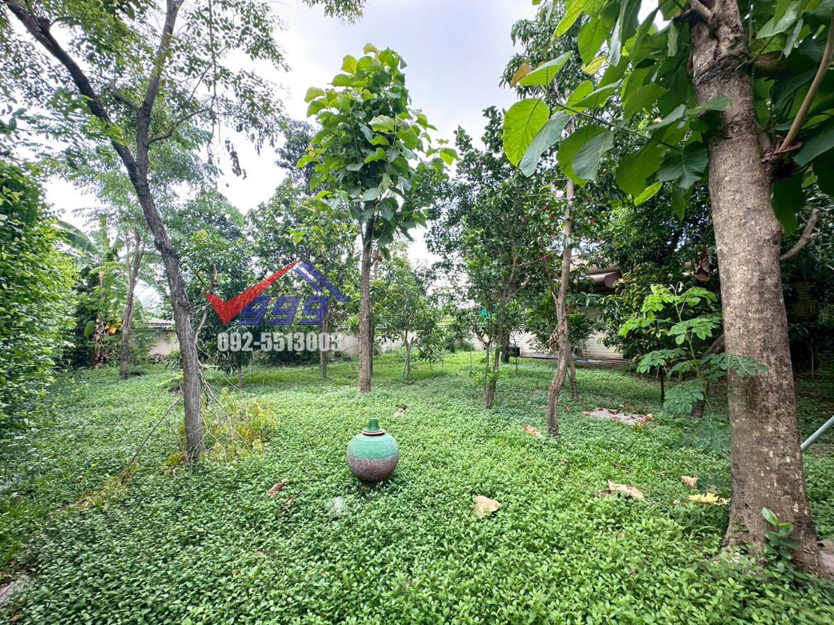 รูป ขายบ้านเดี่ยว 2 ชั้น 5 ห้องนอน เนื้อที่กว่า 1 ไร่ ซอยอ่อนนุช 66 - รูปที่ 9/31