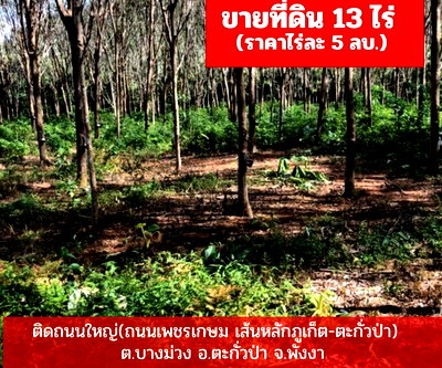 ขายที่ดิน : ขายที่ดินสวนยาง​พารา​ ติดถนนใหญ่​