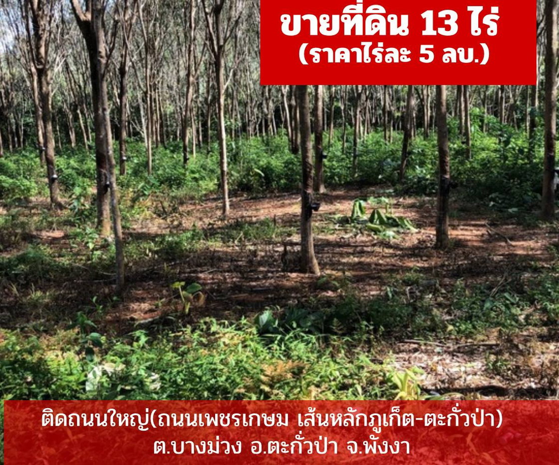 รูป ขายที่ดินสวนยาง​พารา​ ติดถนนใหญ่​ - รูปที่ 1/3