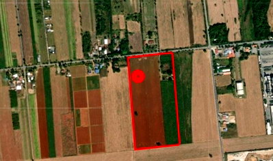 Land for sale : Land for sale: 55 rai of vacant land in Chong Sarika Subdistrict, Phatthana Nikhom District, Lopburi Province, Thailand