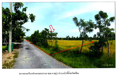 ขายที่ดิน : ที่ดินเปล่า 800 ตร.วา ติดถนนซอย 4 ห่างจากถนนเลียบคลอง 10 อำเภอหนองเสือ จังหวัดปทุมธานี