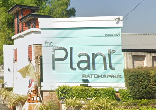 รูป The Plant Ratchaphruek - รูปที่ 1/3