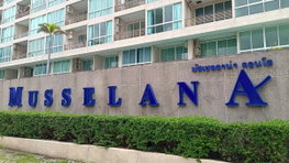 รูป Musselana - รูปที่ 3/8