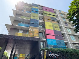 รูป The Colory Vivid - รูปที่ 2/10