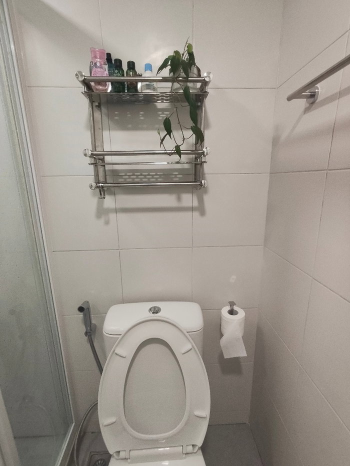 picture Kave Embryo for rent 8,000 thb - 6/32