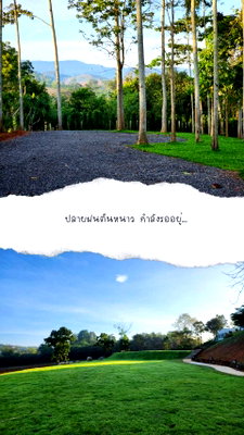 ขายกิจการ : ด่วน ลดสุดๆ ขายกิจการรีสอร์ท โรมแรม เขาใหญ่ วังกะทะ ปากช่อง นครราชสีมา ที่ดิน 12 ไร่ วิวภูเขาสวย ใกล้เส้น 2213 ทอสคานา ดำเนินกิจการต่อได้ 0879074045