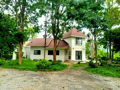 บ้านเดี่ยว นครราชสีมา (โคราช) : ด่วน ขายบ้านที่ดินเขาใหญ่ หมูสี ปากช่อง นครรราชสีมา 1 ไร่ ใกล้ถนนธนะรัชต์ ท่าช้าง น้ำผุด ที่สวยร่มรื่น เหมาะทำธุรกิจ คาเฟ่ บ้านพักตากอากาศ 087-9074045