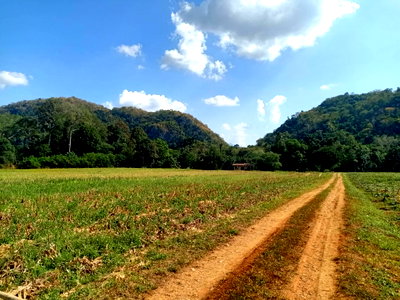 ขายที่ดิน : ขายที่ดินเขาใหญ่ ปากช่อง ติดน้ำลำตะคอง หมูสี ท่าช้าง ใกล้ธนะรัชต์ 21 ไร่ ที่สวยมาก วิวเขาล้อมรอบ ใกล้บ่อน้ำผุด ใกล้ทางขึ้นอุทยาน โรงแรม 0879074045