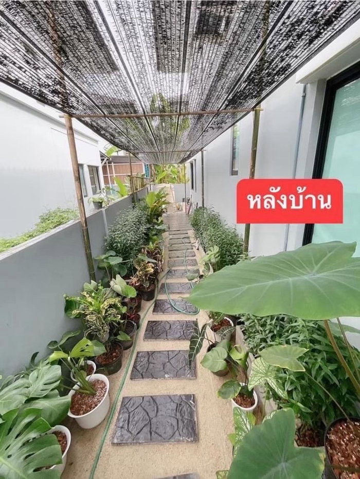 รูป 💥CP-7783💥ให้เช่า บ้านเดี่ยว 2 ชั้น โครงการ ดีไลท์ บางนา - ศรีนครินทร์👉แอดไลน์ @rangrak - รูปที่ 3/44