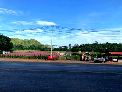 ขายที่ดิน : ขายที่ดินติดถนนธนะรัชต์ ทางขึ้นเขาใหญ่ 19 ไร่ หมูสี โฉนดครุฑแดงเจ้าของเดิม ที่ดินหน้ากว้างติดถนนธนะรัชต์ 200ม. เหมาะทำกิจการโรมแรม ร้านอาหาร0879074045