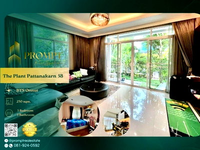 บ้านเดี่ยว สถาบันเทคโนโลยีไทย-ญี่ปุ่น : ST12763 - The Plant Pattanakarn 38 