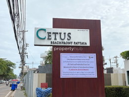 Project Cetus Beachfront Pattaya Picture - 5/18