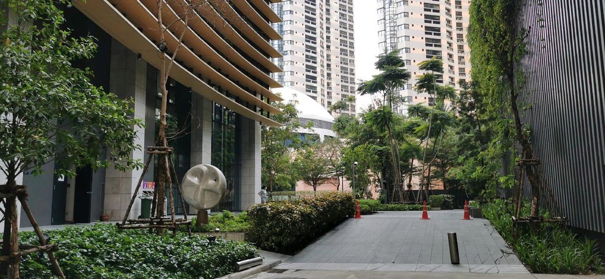 picture Code: KJ6874 for rent The Lumpini 24 // Line ID: @kjcondo (with @) // - 17/23