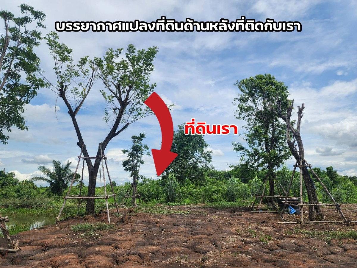 picture Land for sale, Khlong Hok Subdistrict, Pathum Thani Province, 67.5 square wah - 6/8