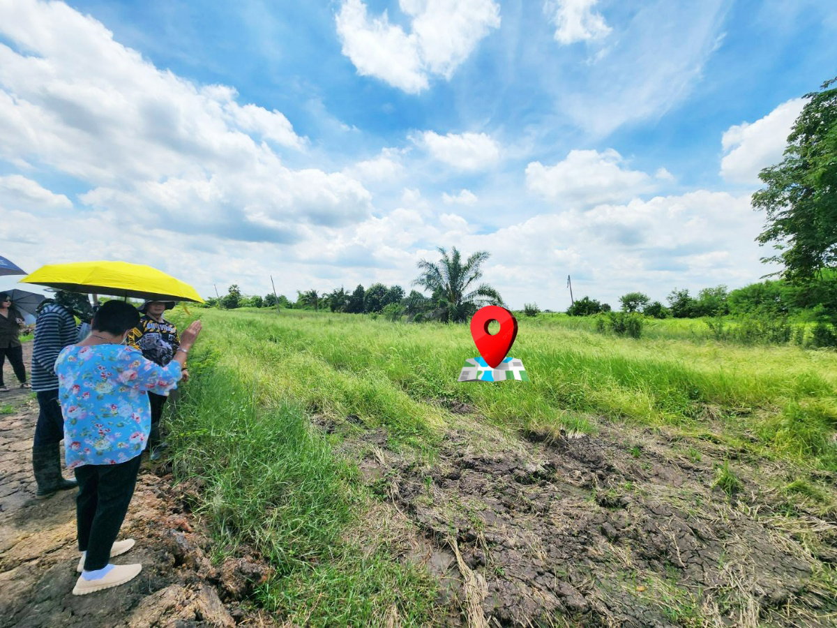 picture Land for sale, Khlong Hok Subdistrict, Pathum Thani Province, 67.5 square wah - 3/8