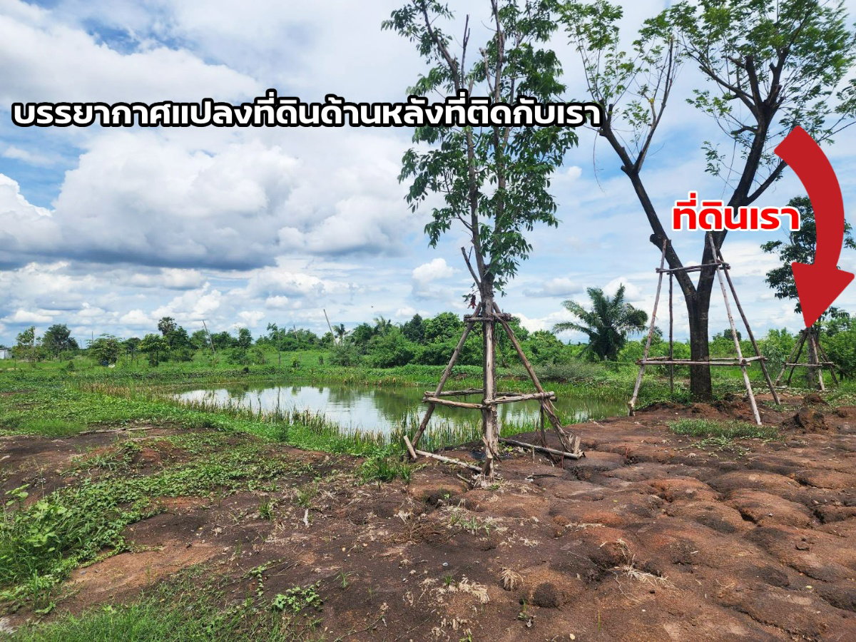 picture Land for sale, Khlong Hok Subdistrict, Pathum Thani Province, 67.5 square wah - 7/8