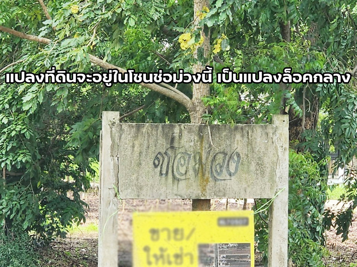picture Land for sale, Khlong Hok Subdistrict, Pathum Thani Province, 67.5 square wah - 8/8