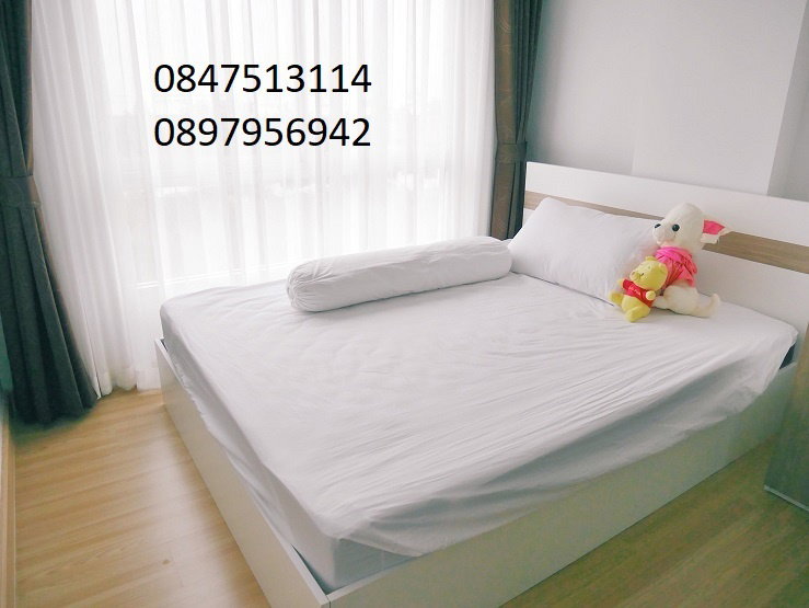 picture The Kith Lite Bangkadi for rent 5500 per month - 1/9