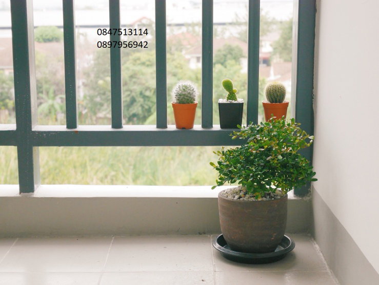 picture Sena kith rangsit tiwanon for rent 5500per month - 9/9