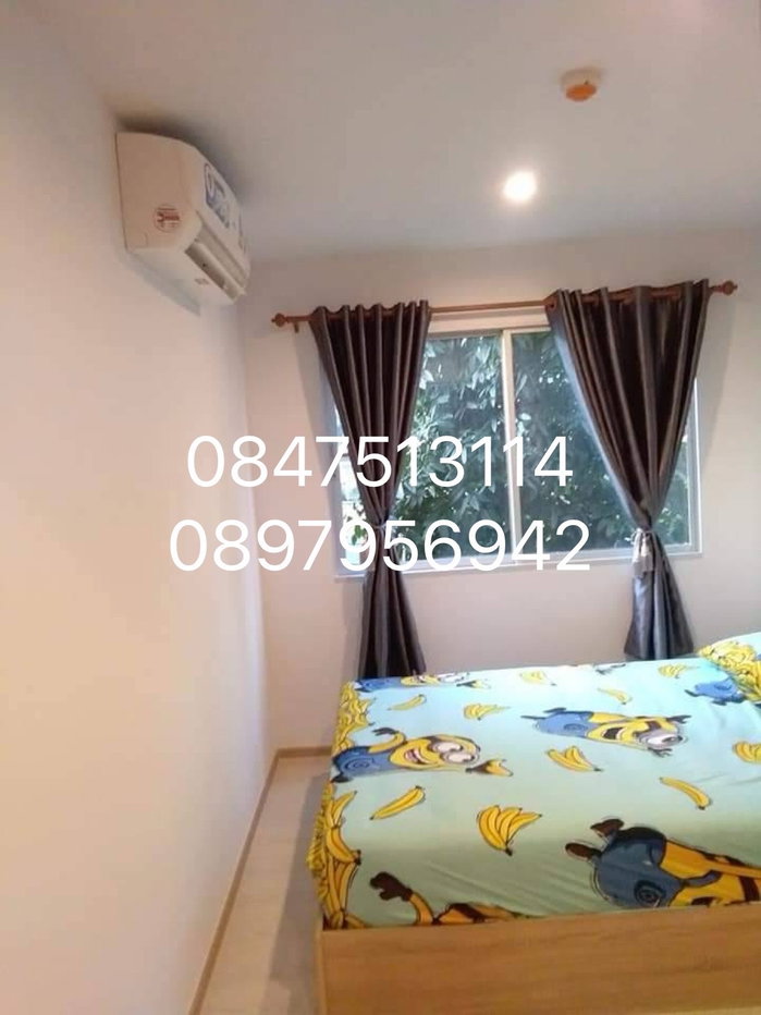 picture  The Kith Lite Bangkadi for rent 6000 per month - 5/11