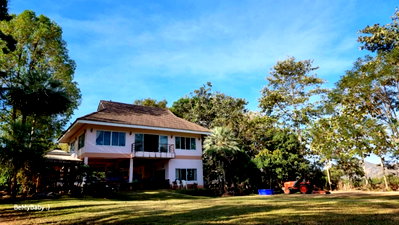 ขายที่ดิน : ขายบ้านสวนเขาใหญ่ พร้อมสวนผลไม้ ไม้เศรษฐกิจ 19ไร่ เขาวง หนองน้ำแดง ปากช่อง วิวเขาสวย ถนนลาดยาง ใกล้มิตรภาพ ภบท.ท้ายที่อีก9ไร่ รวม 27ไร่ 087-9074045