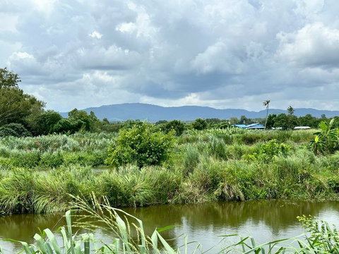 ขายที่ดินเปล่าศรีราชา หนองขาม แปลงสวย ติดกับ ไร่คาราวาน (คอกม้า)