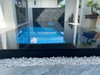 listing thumbnail image 21