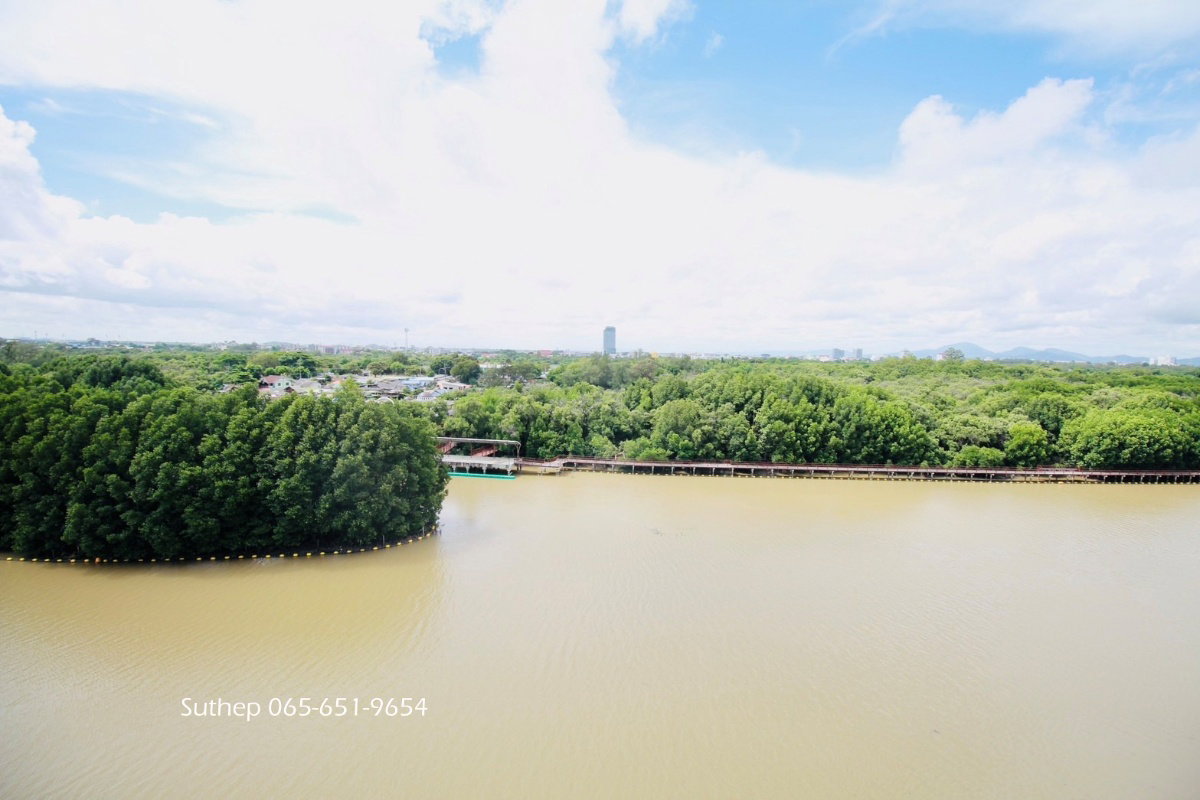 รูป ขายคอนโดธาราญา ชั้น 7 ขนาด 72 ตร.ม. วิวทะเล-แม่น้ำ ตกแต่งครบ พร้อมอยู่ ทำเลหาดแสงจันทร์ ระยอง - รูปที่ 19/21