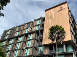 รูป LLOYD Soonvijai - Thonglor - รูปที่ 3/16