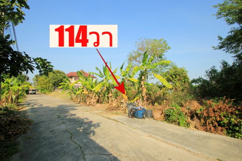 ที่ดินพุทธมณฑลสาย2ซอย21 ที่ดินสร้างบ้าน114ตารางวา ใกล้ถนนพระเทพตัดใหม่ โรงพยาบาลศิริราช ห้างพาซิโอ้ ราคาถูก