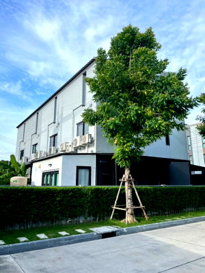 ขายบ้านเดี่ยว : 🏠 ขายบ้าน : Baan Klang Muang Suksawat-Rama 3 (บ้านกลางเมือง สุขสวัสดิ์-พระราม 3)   รหัสทรัพย์ | 📌 LNP-H441  
