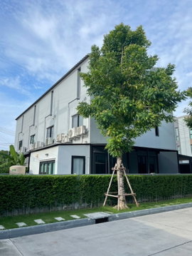 🏠 ขายบ้าน : Baan Klang Muang Suksawat-Rama 3 (บ้านกลางเมือง สุขสวัสดิ์-พระราม 3)   รหัสทรัพย์ | 📌 LNP-H441  