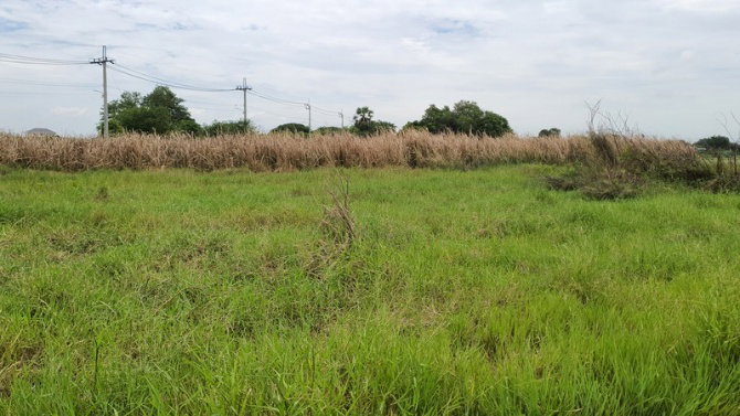 รูป ขายที่ดินเปล่า 368.4 ตร.วา ต.หนองแฝด อ.หนองจอก จ.กรุงเทพฯ - รูปที่ 5/6