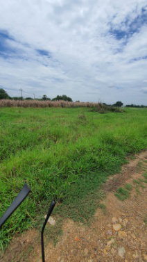 รูป ขายที่ดินเปล่า 368.4 ตร.วา ต.หนองแฝด อ.หนองจอก จ.กรุงเทพฯ - รูปที่ 6/6
