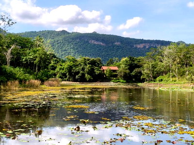 ที่ดิน นครราชสีมา (โคราช) : ขายที่ดินริมน้ำเขาใหญ่ 1ไร่ เวิ้งน้ำ วิวเขาสวยมาก โครงการมูนแดนซ์ Moondance ติดธนะรัชต์ ใกล้อุทยาน ตลาดนัด ร่มรื่นต้นไม้เยอะ ขายถูกมาก 0879074045